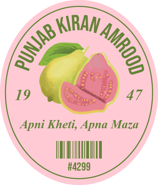 Punjab Kiran Amrood Vinyl Sticker
